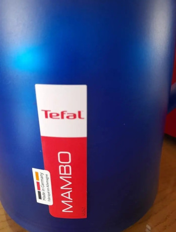 thermose-tefal-1l-big-1