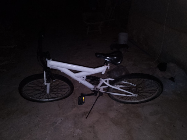 bisklet-occasion-big-3