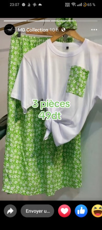 aarob-akhdr-bdl-alakhl-b-alakhdr-big-0