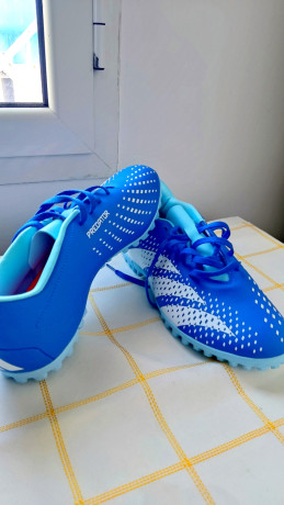 crampon-dorigine-adidas-predator-big-1