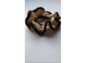 crochet-scrunchies-small-1