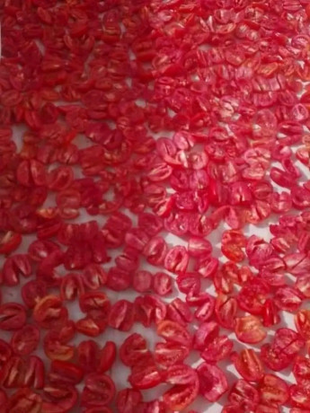 tmatm-kaab-mn-sanytha-lltshryh-ola-aasran-llbyaa-balsndok-d-big-2